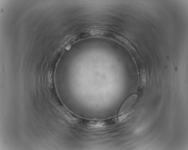 X0000064750667200602101214