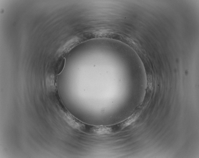 X0000064750670200602101214