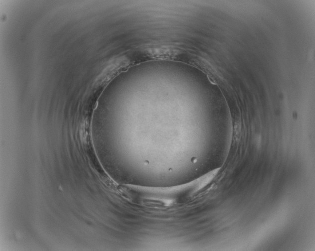 X0000064750671200602101214