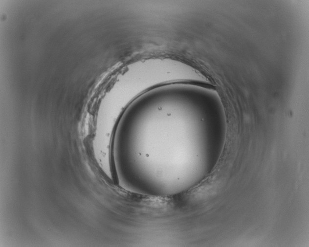 X0000064750672200602101214