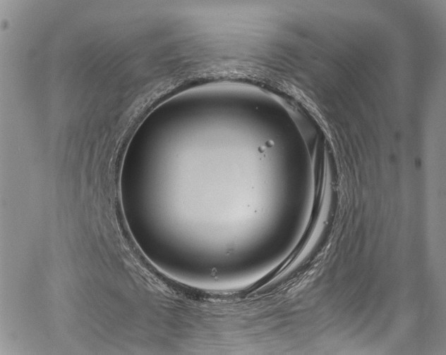 X0000064750673200602101213