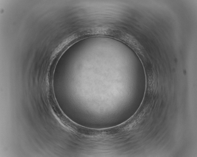 X0000064750674200602101213