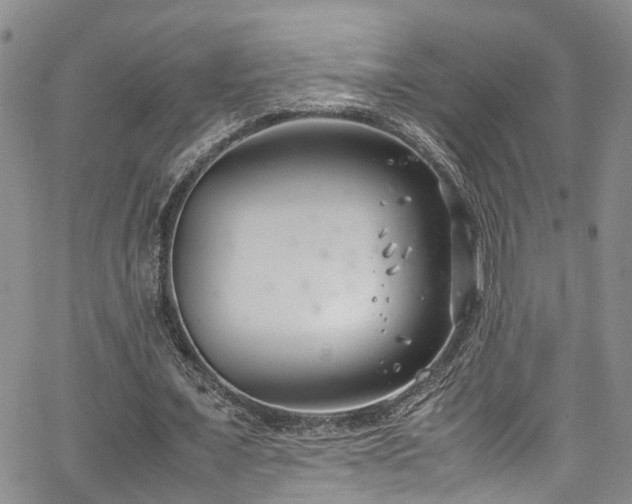 X0000064750675200602101213