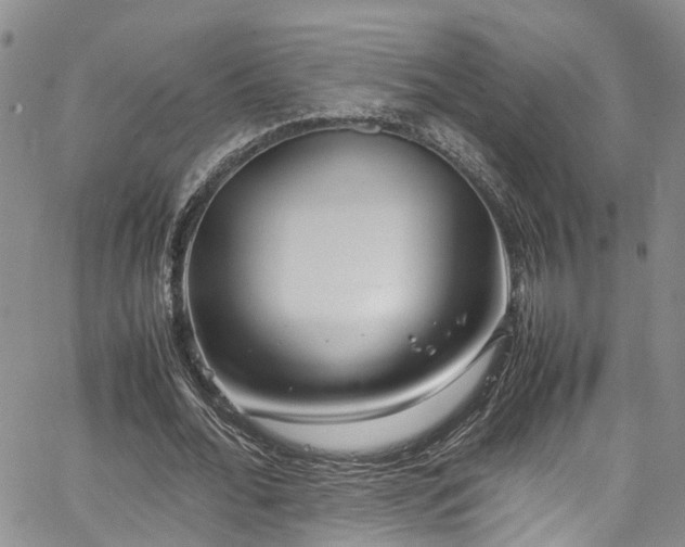 X0000064750676200602101213