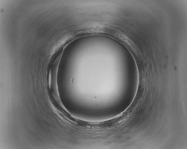 X0000064750677200602101213