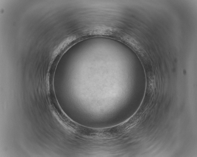 X0000064750678200602101213