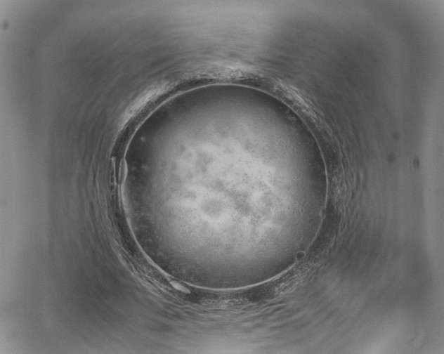 X0000064750679200602101213