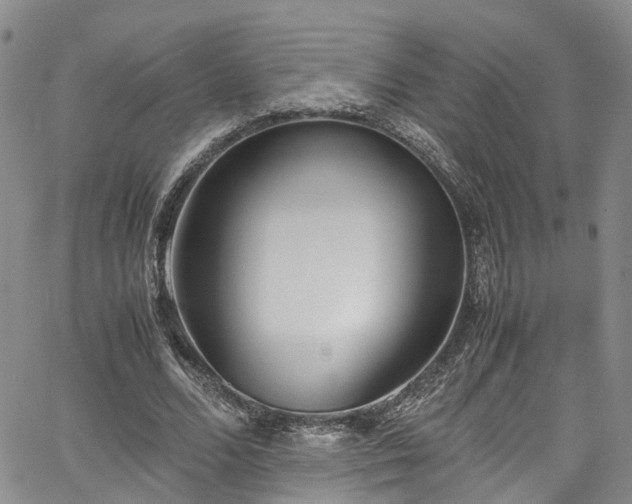 X0000064750680200602101213