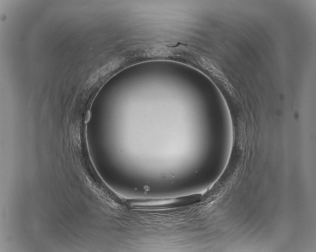 X0000064750681200602101213