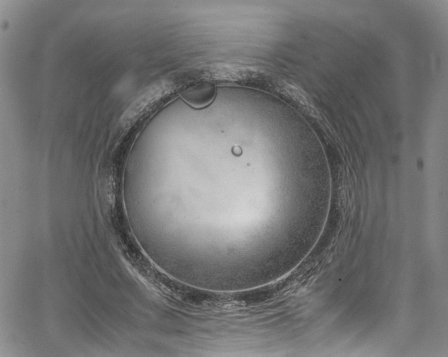 X0000064750683200602101213