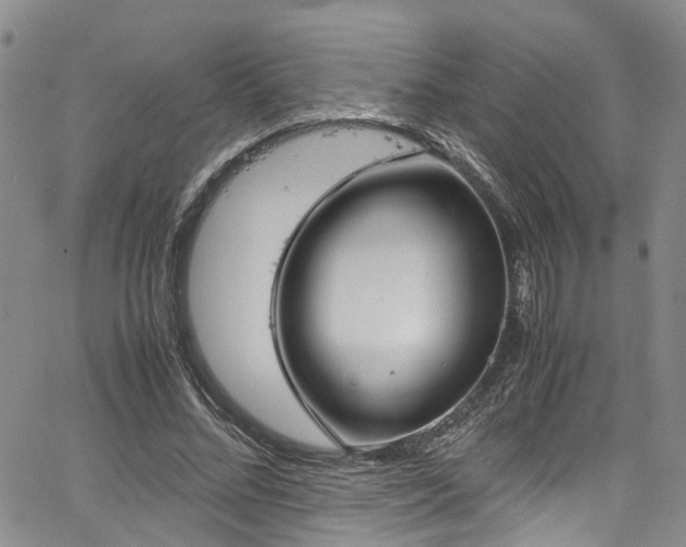 X0000064750684200602101213