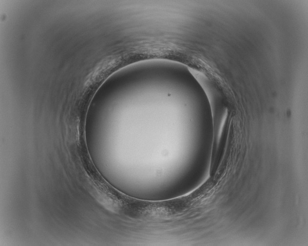 X0000064750685200602101213