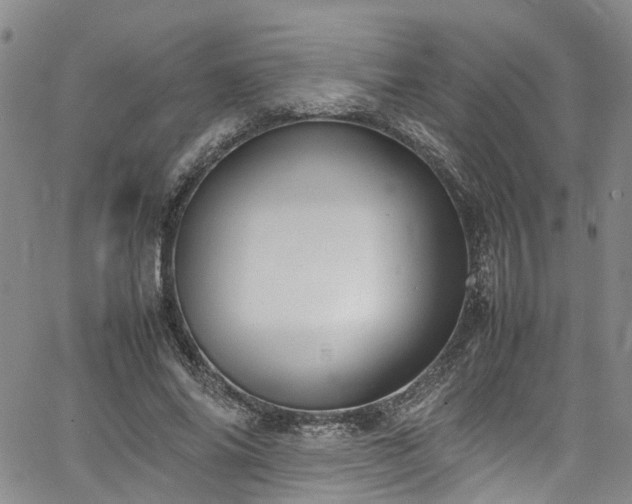 X0000064750686200602101213