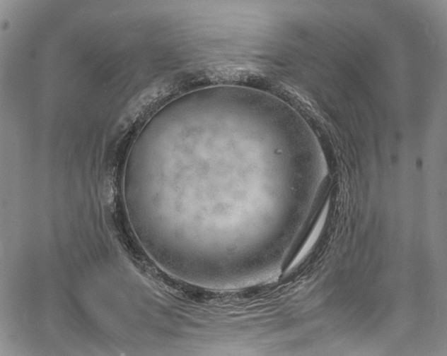 X0000064750687200602101213