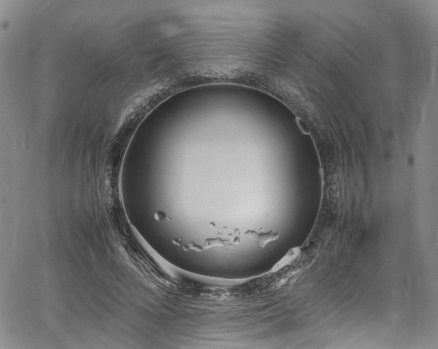 X0000064750688200602101213