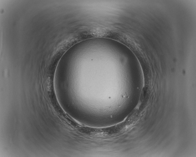 X0000064750689200602101213