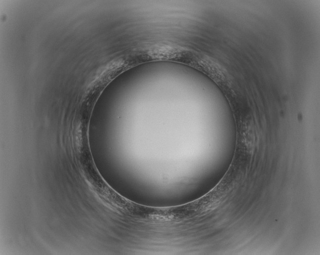 X0000064750690200602101213