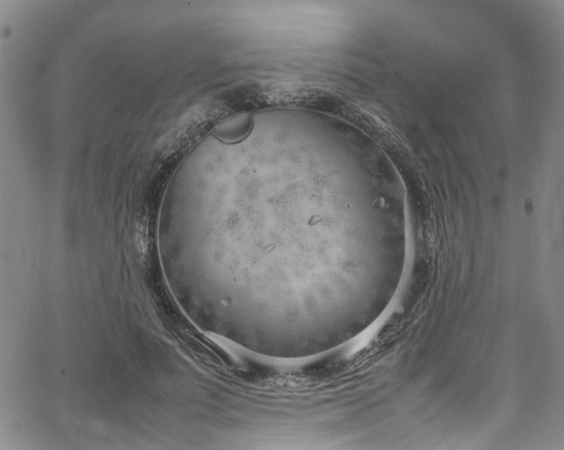 X0000064750691200602101213