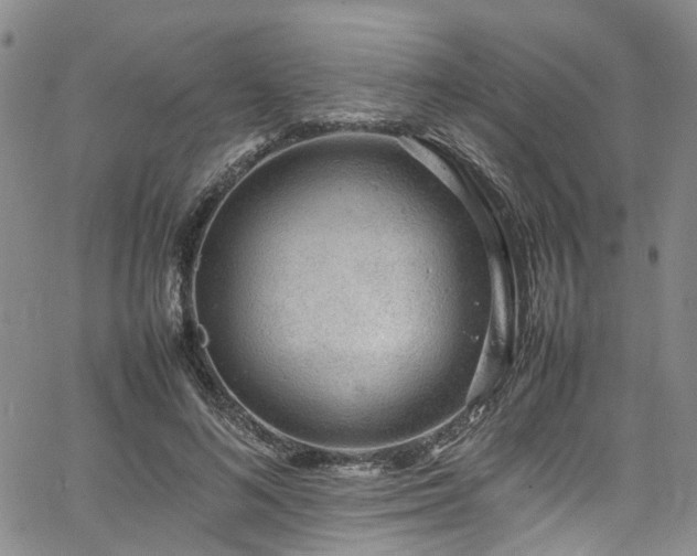 X0000064750692200602101213