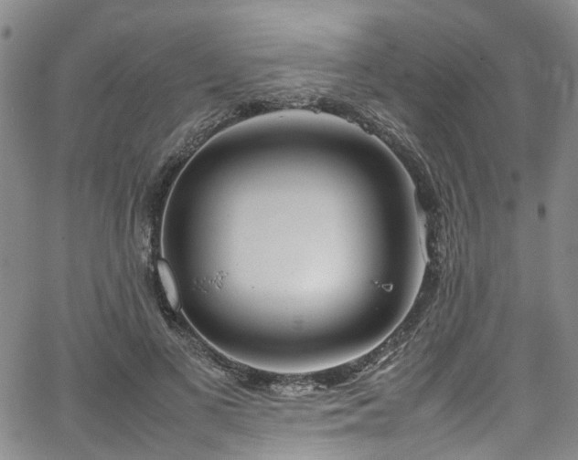 X0000064750693200602101213