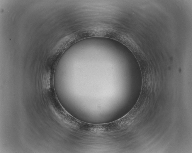 X0000064750694200602101213