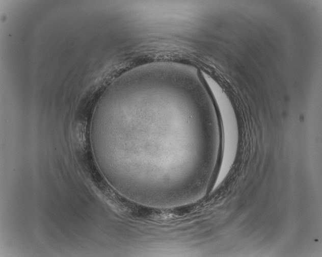 X0000064750695200602101213