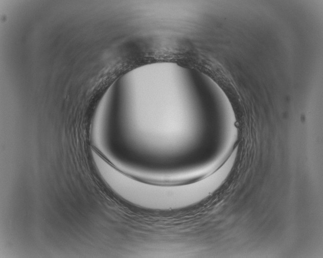 X0000064750697200602101213