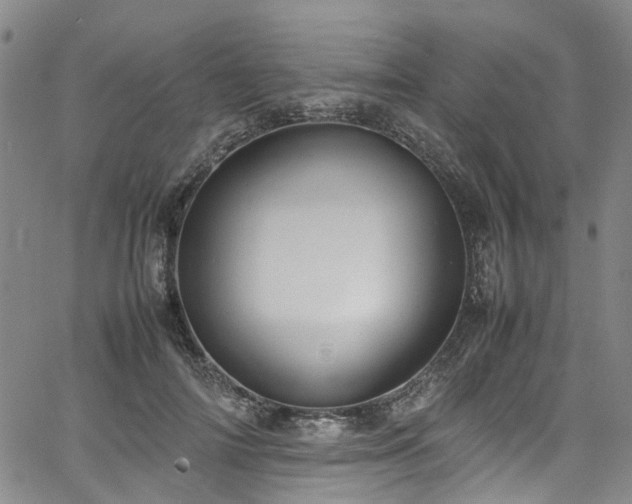 X0000064750698200602101213