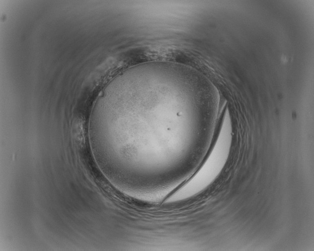 X0000064750699200602101213