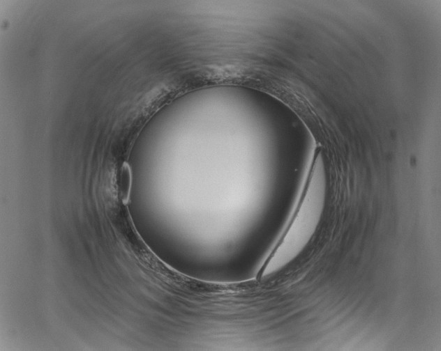 X0000064750700200602101213