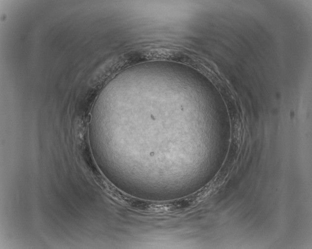 X0000064750701200602101213