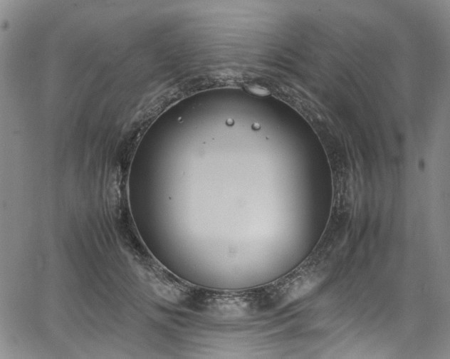 X0000064750702200602101213