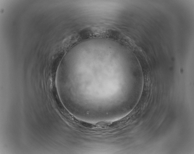 X0000064750703200602101213