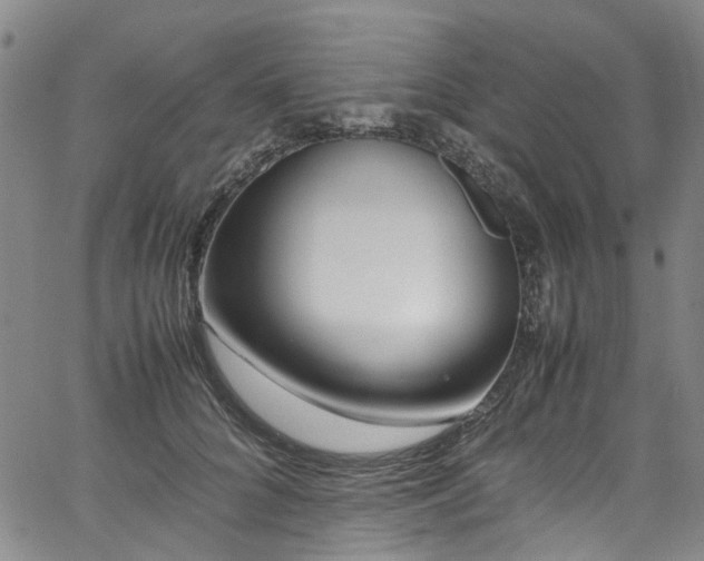 X0000064750704200602101213