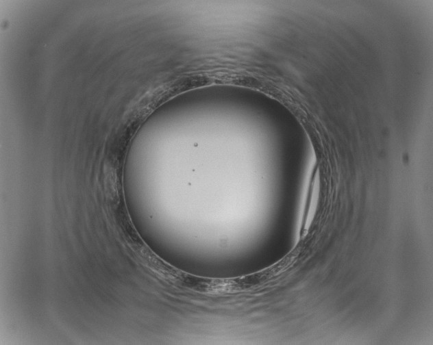 X0000064750705200602101213