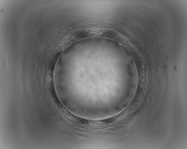 X0000064750707200602101213