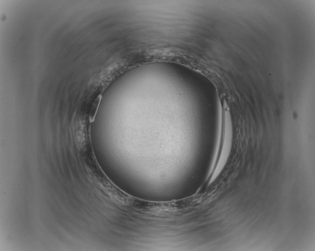 X0000064750708200602101213