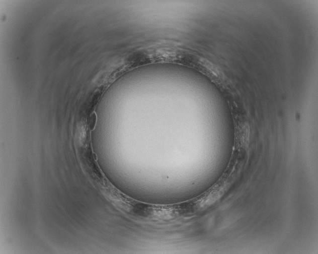 X0000064750709200602101213