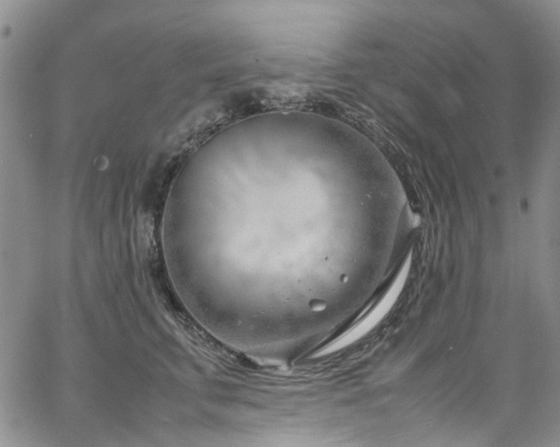 X0000064750711200602101213