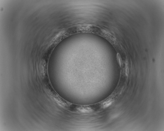 X0000064750712200602101213