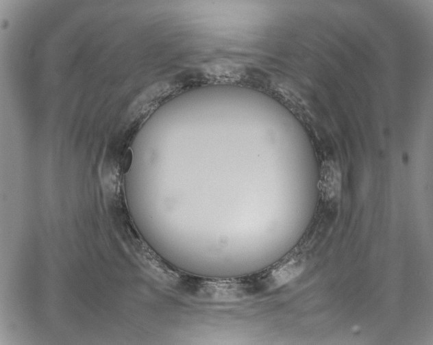 X0000064750713200602101213