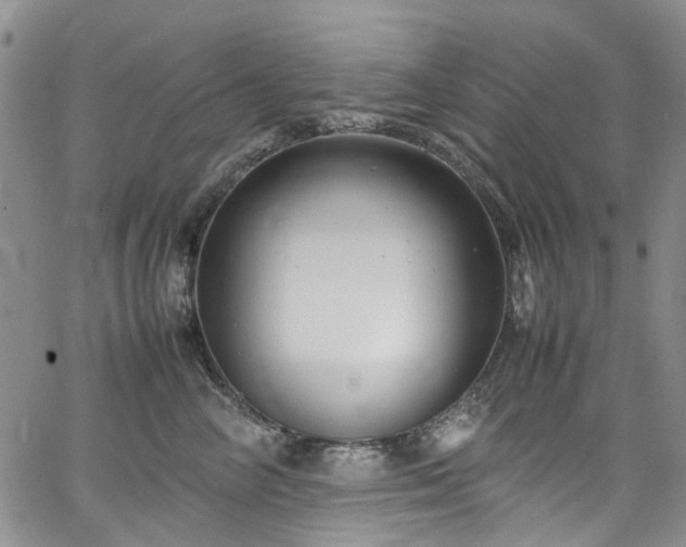 X0000064750714200602101213