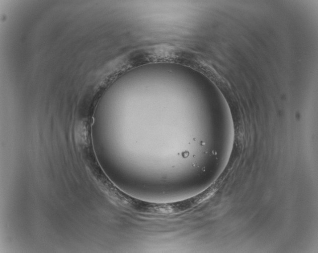 X0000064750715200602101213