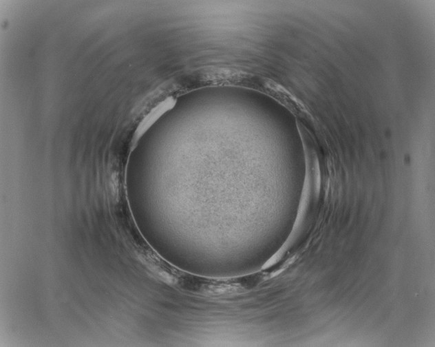 X0000064750716200602101213