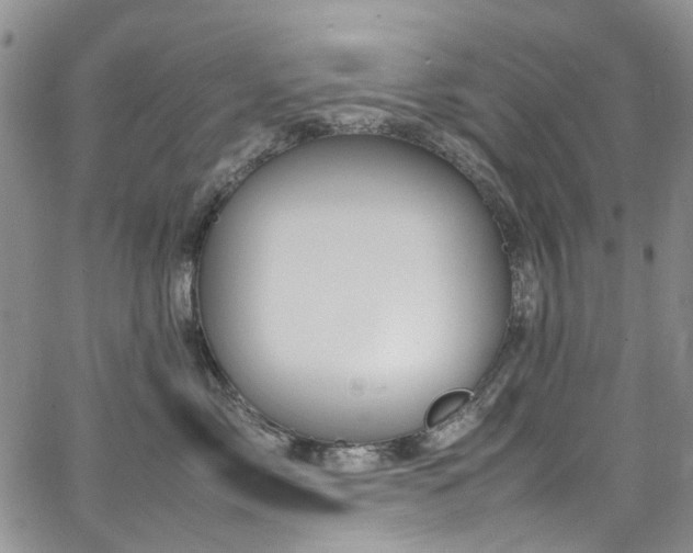 X0000064750717200602101213