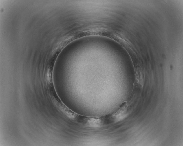 X0000064750718200602101213