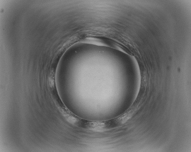 X0000064750719200602101213