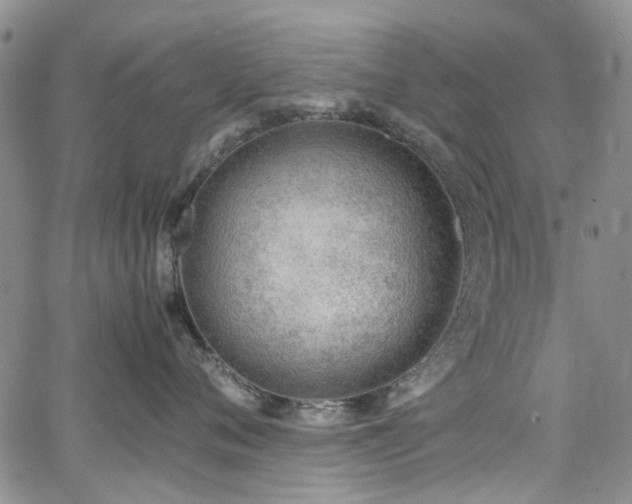 X0000064750720200602101213