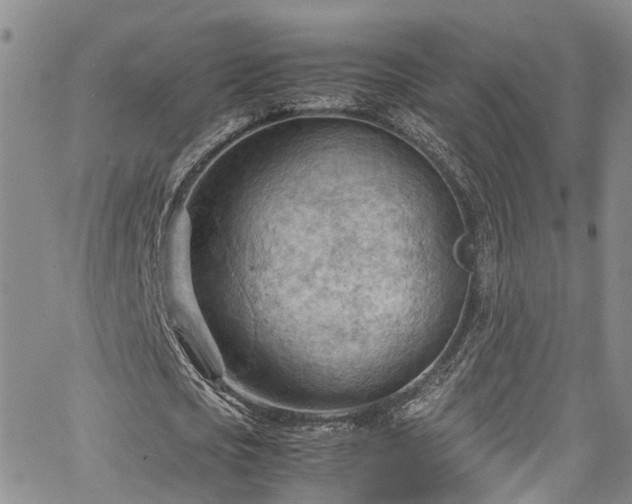 X0000064750721200602101212