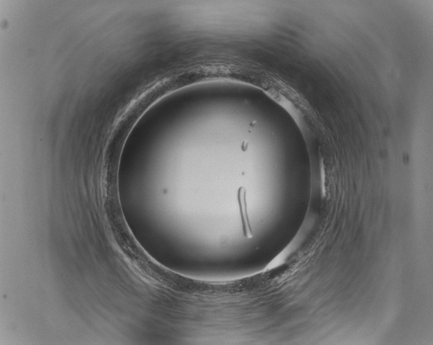 X0000064750722200602101212